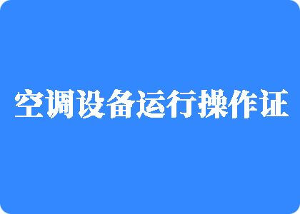 女人被鸡巴掉网站制冷工证